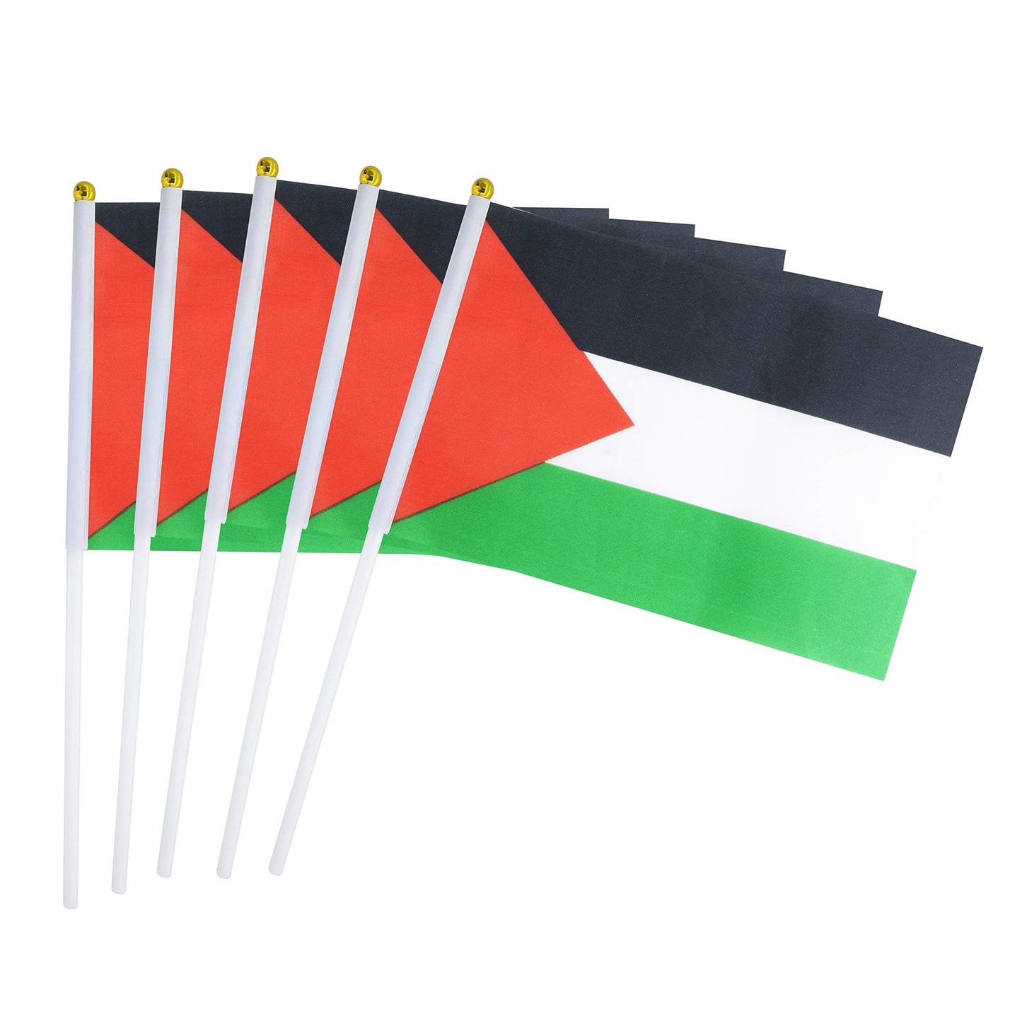 Palestina Flag